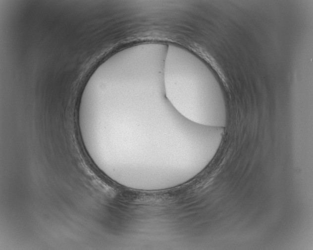 X0000074000625200609061024