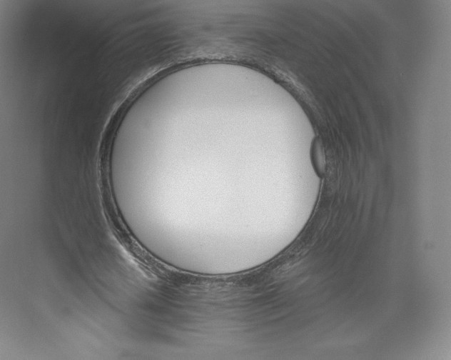 X0000074000626200609061024