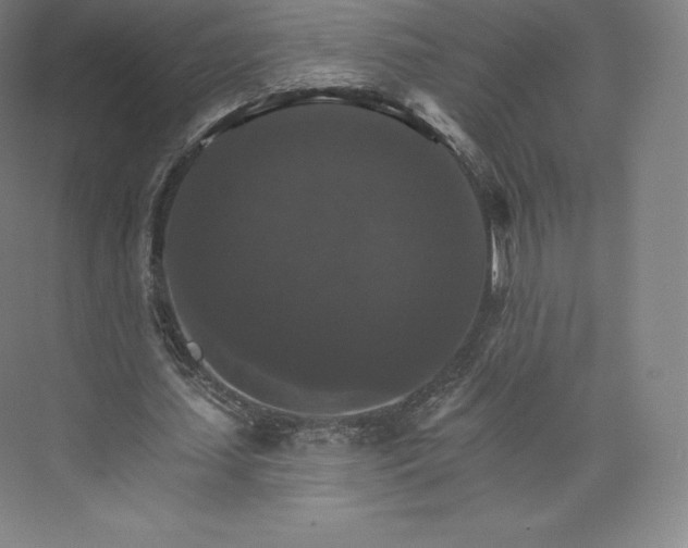 X0000074000627200609061024