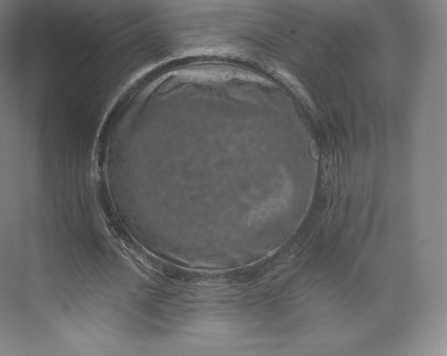 X0000074000628200609061024