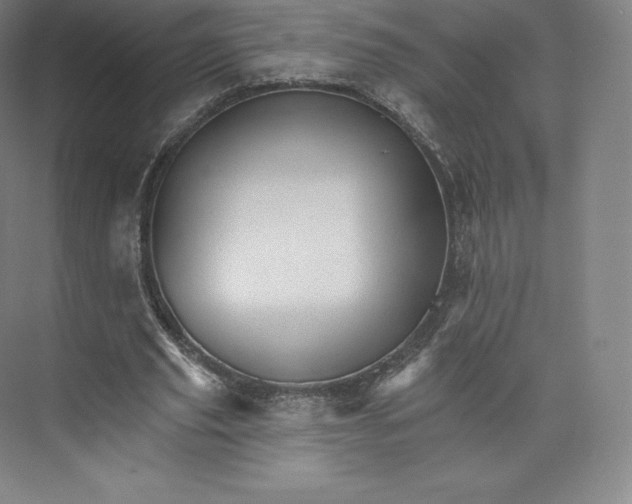 X0000074000629200609061024