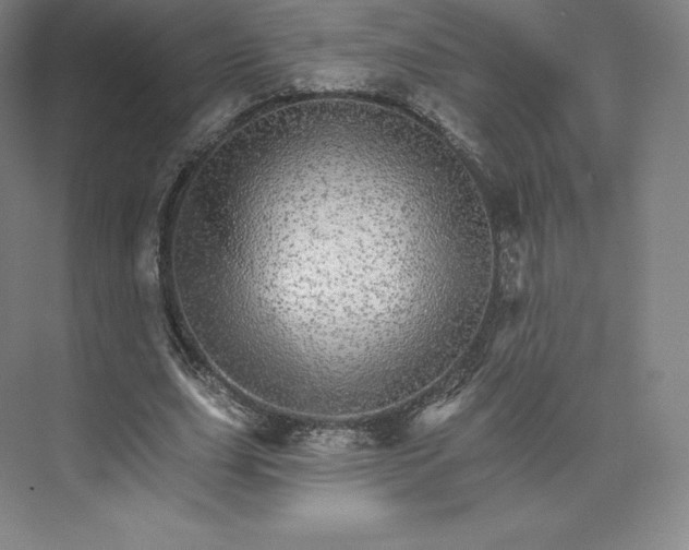 X0000074000631200609061024