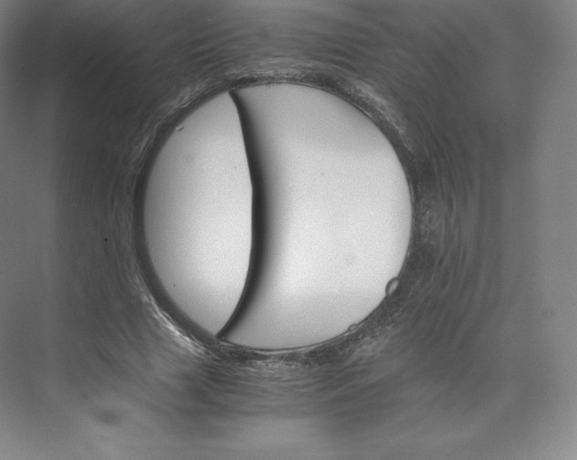 X0000074000633200609061024