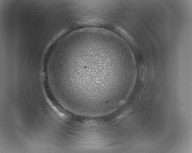 X0000074000634200609061024