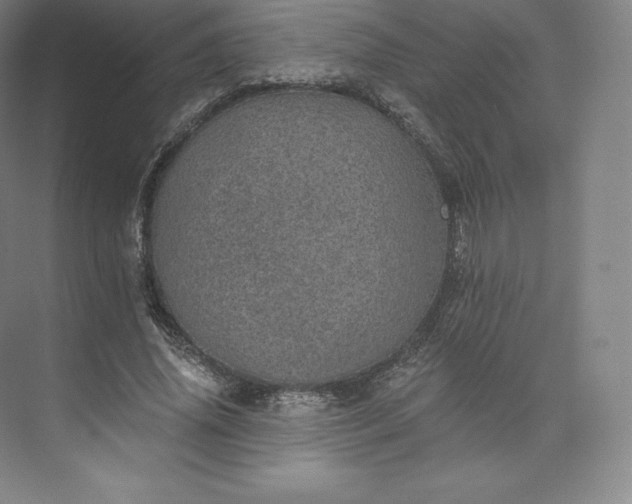 X0000074000636200609061024