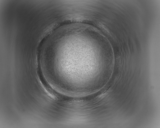 X0000074000638200609061024