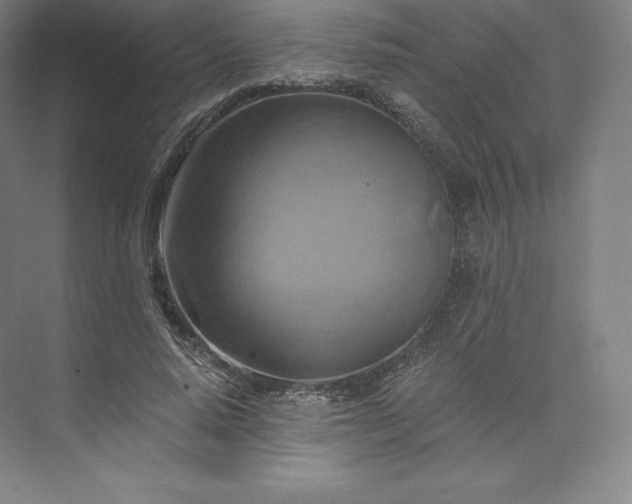 X0000074000640200609061024