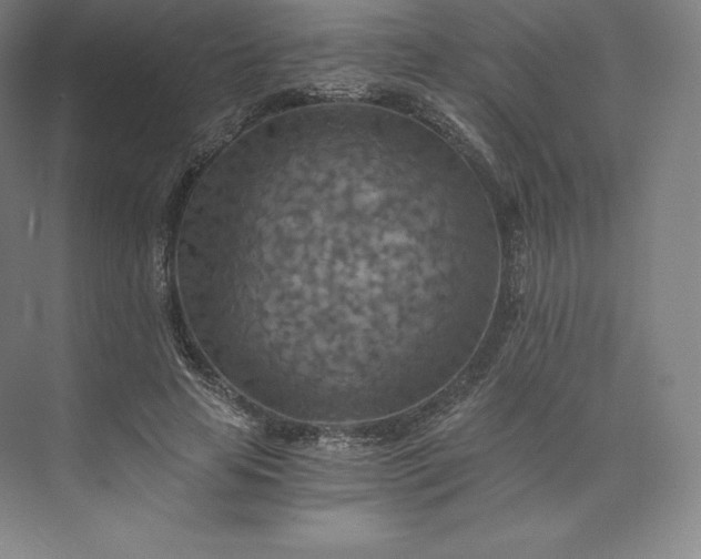 X0000074000641200609061025