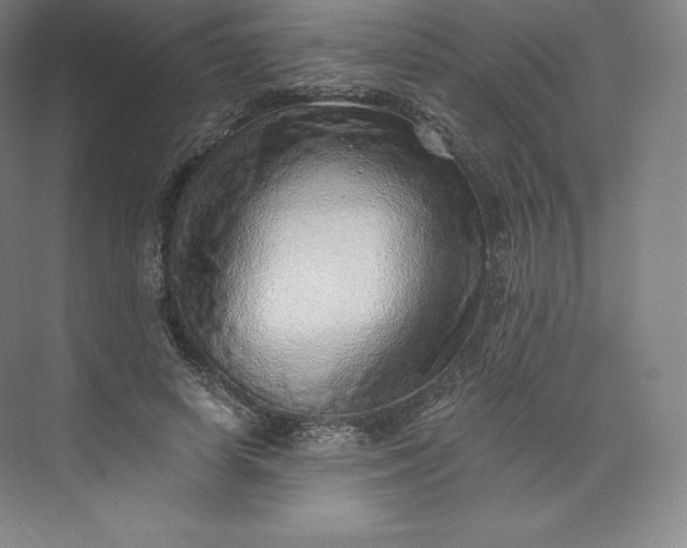 X0000074000642200609061025