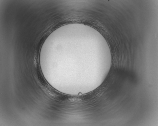 X0000074000644200609061025