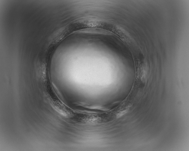 X0000074000646200609061025