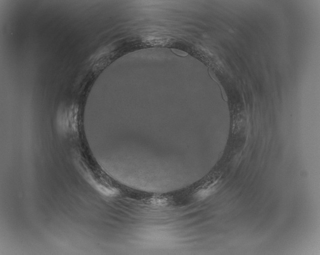 X0000074000647200609061025