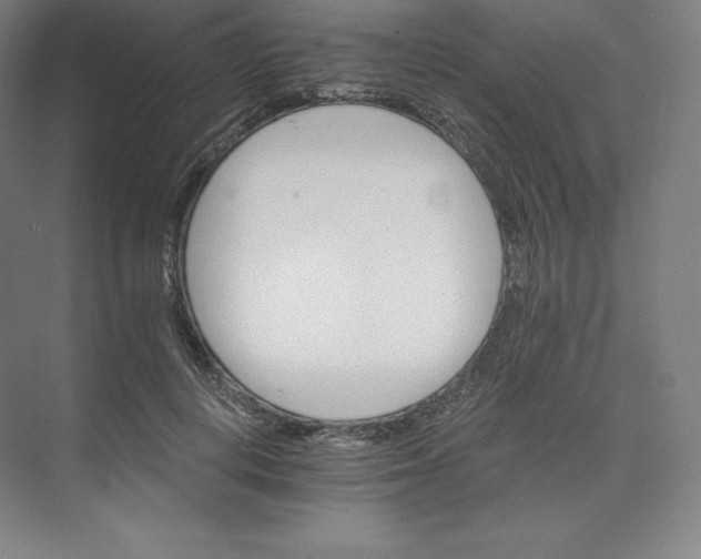 X0000074000648200609061025