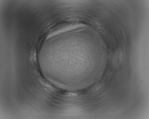 X0000074000649200609061025