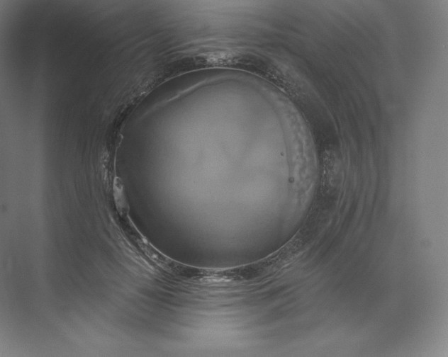 X0000074000650200609061025