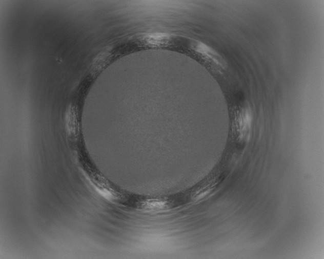 X0000074000651200609061025