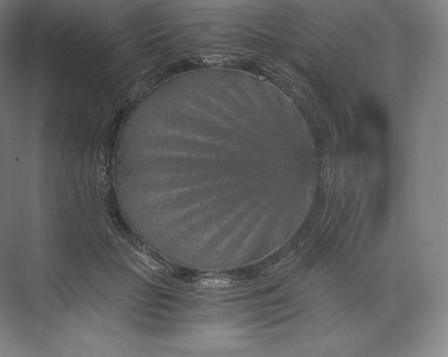 X0000074000653200609061025