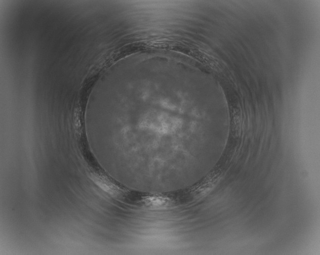 X0000074000654200609061025