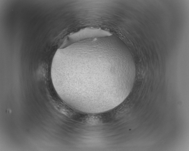 X0000074000656200609061025