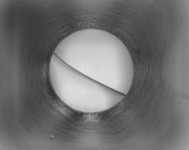 X0000074000660200609061025