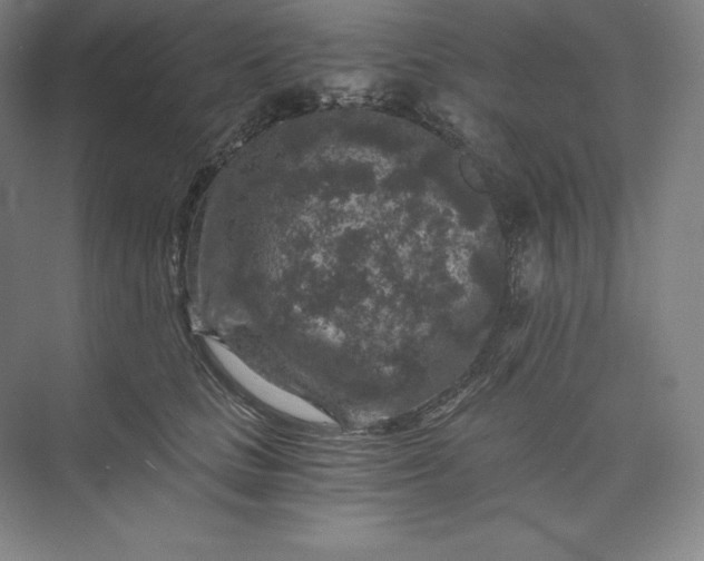 X0000074000661200609061025