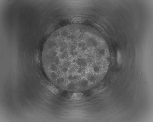 X0000074000663200609061025