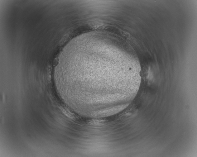 X0000074000664200609061025