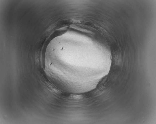 X0000074000665200609061025