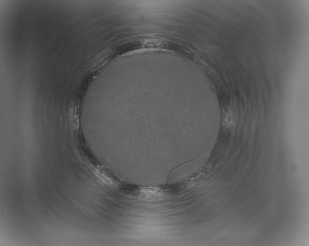 X0000074000666200609061025