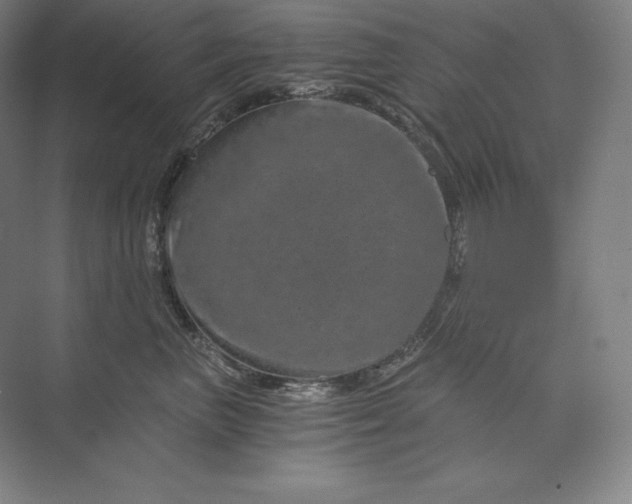 X0000074000667200609061025