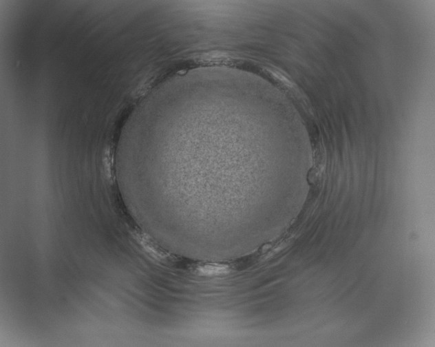 X0000074000669200609061025