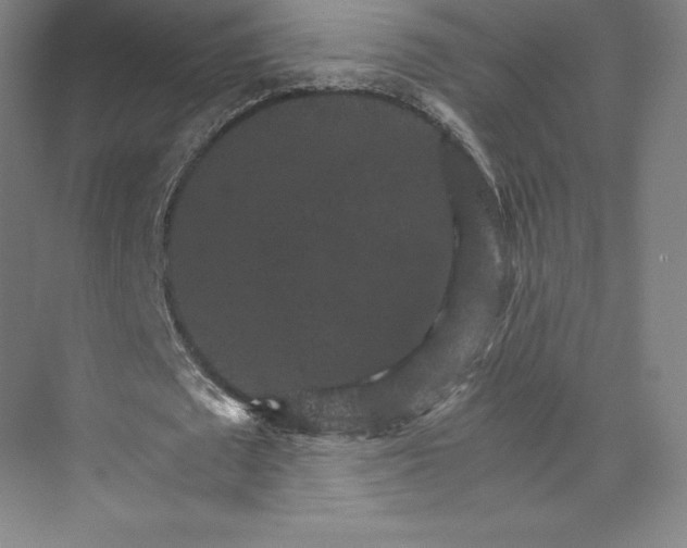 X0000074000673200609061024