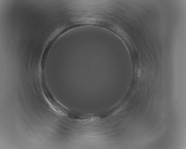 X0000074000674200609061024