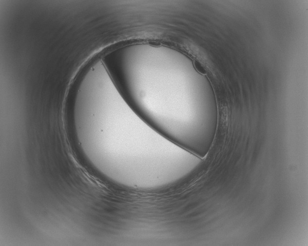 X0000074000676200609061024