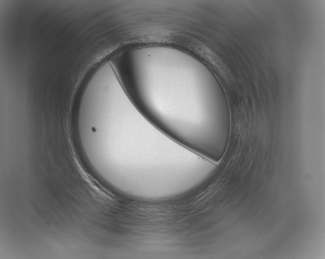 X0000074000677200609061024