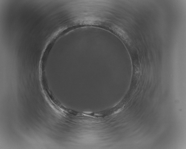 X0000074000678200609061024