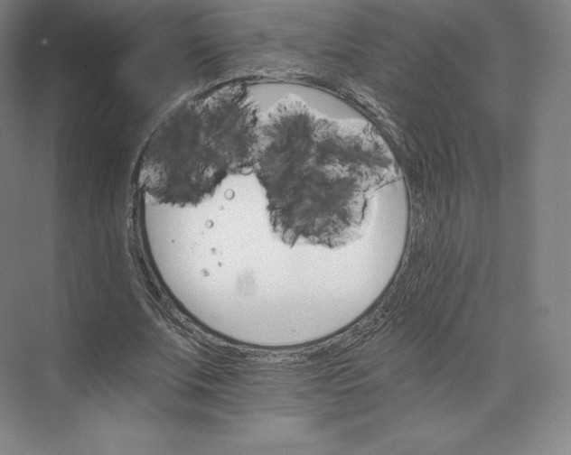 X0000074000679200609061024