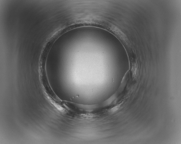 X0000074000680200609061024