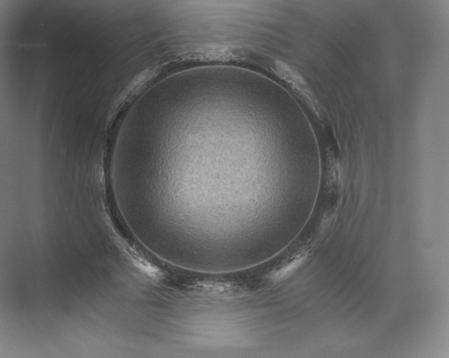 X0000074000681200609061024