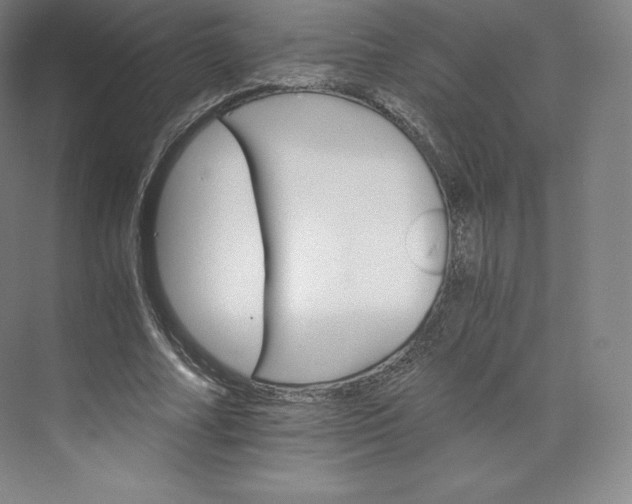 X0000074000682200609061024