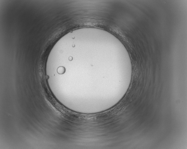 X0000074000683200609061024