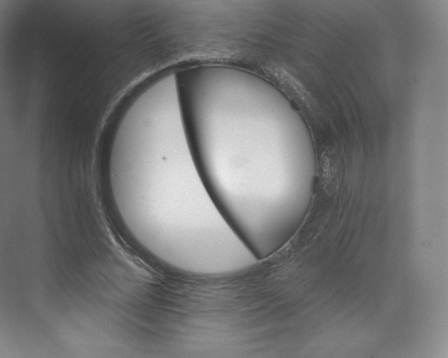 X0000074000684200609061024