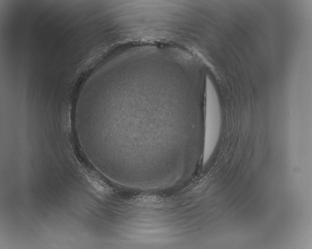 X0000074000685200609061024