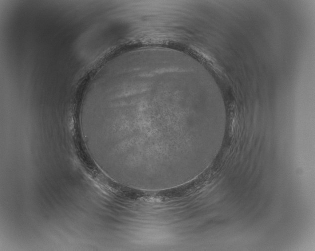 X0000074000687200609061024