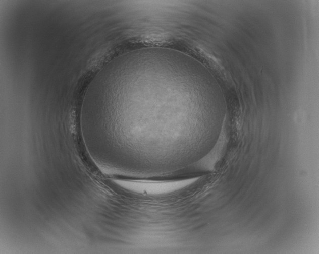 X0000074000689200609061024