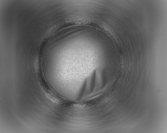 X0000074000690200609061024