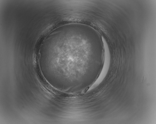 X0000074000692200609061024