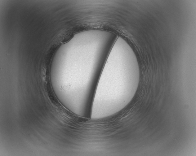 X0000074000693200609061024