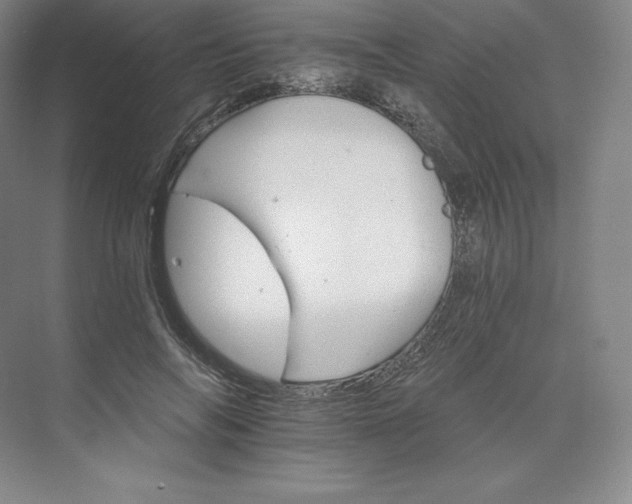 X0000074000694200609061024