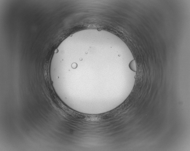 X0000074000695200609061024